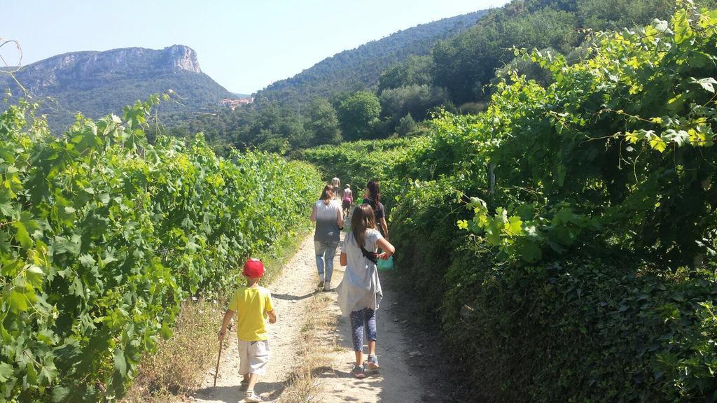 Il Villaggio Di Giuele Finale Ligure Exterior foto